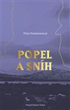 Popel a sníh