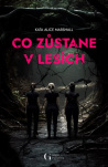 Co zůstane v lesích 