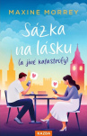 Sázka na lásku (a jiné katastrofy)