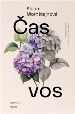 Čas vos 